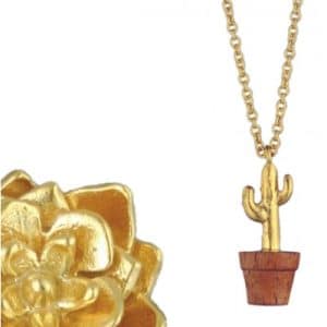 Cacti