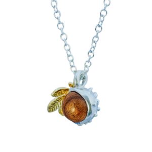 *New* Conker Collection