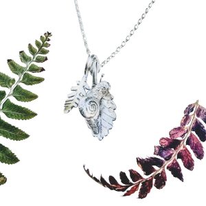 Ferns and Snails